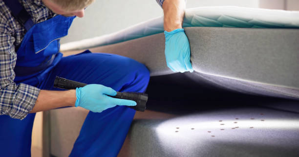 Best Mosquito Control Services  in North Charleroi, PA